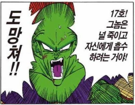 드래곤볼 피콜로가 피콜로가 아니라는 썰 | 인스티즈