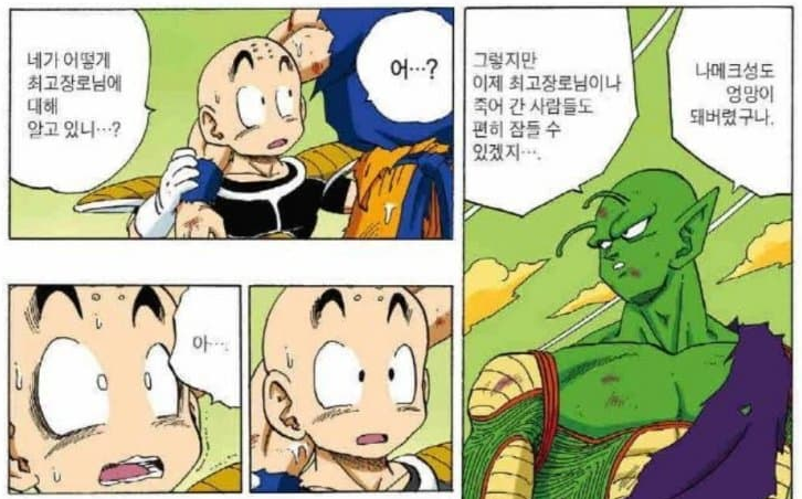 드래곤볼 피콜로가 피콜로가 아니라는 썰 | 인스티즈