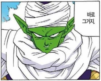 드래곤볼 피콜로가 피콜로가 아니라는 썰 | 인스티즈