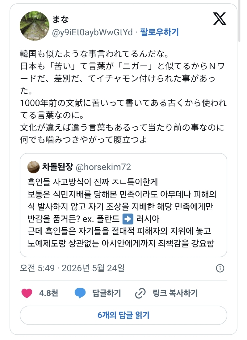 알고 보니 n-word 쓴다고 오해받는 일이 공통이었던 한중일 | 인스티즈