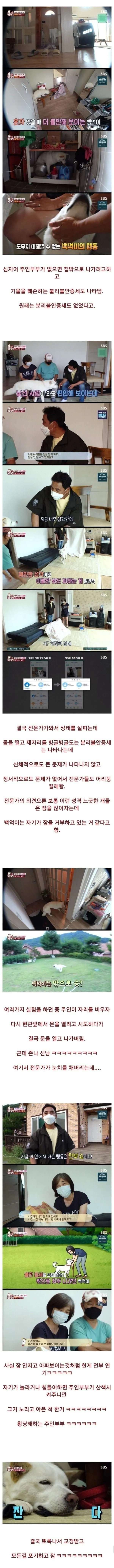 불면증 걸린 강아지 | 인스티즈