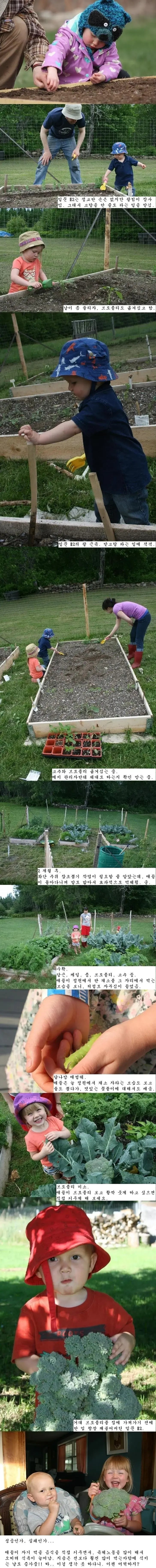 캐나다 가족의 식비 줄이기 프로젝트 | 인스티즈