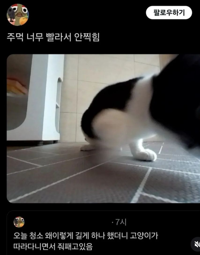 오늘 따라 로봇청소기의 청소 시간이 길어진 이유 | 인스티즈