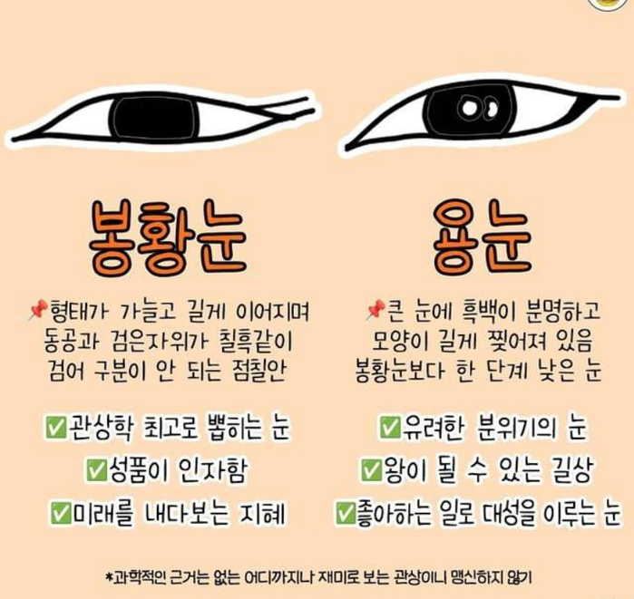 재미로 보는 눈 관상 | 인스티즈