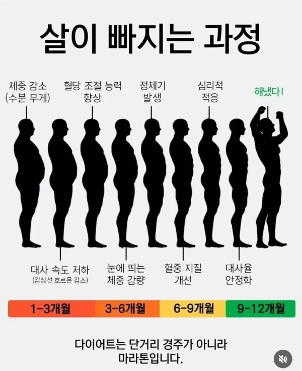 다이어트할때 살이 빠지는 과정 | 인스티즈