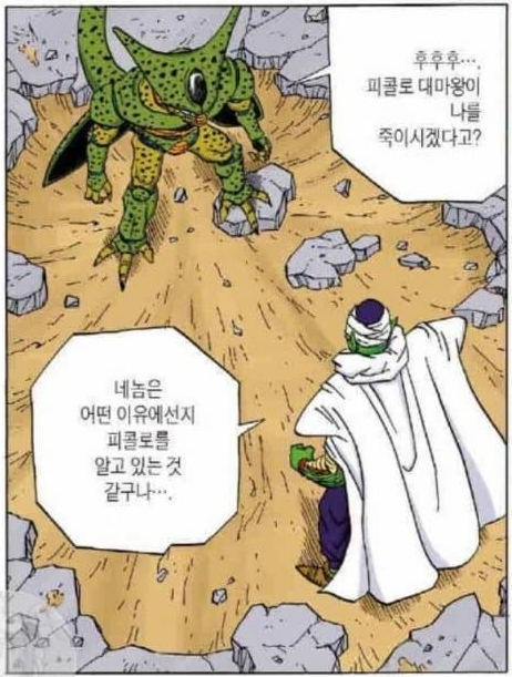 드래곤볼 피콜로가 피콜로가 아니라는 썰 | 인스티즈