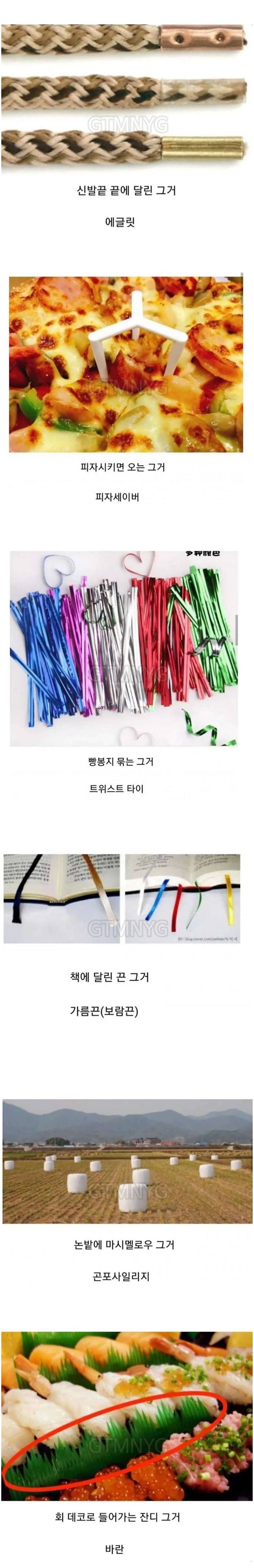 알려줘도 뒤돌아서면 까먹는 단어 | 인스티즈