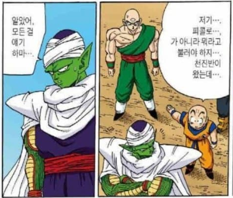 드래곤볼 피콜로가 피콜로가 아니라는 썰 | 인스티즈