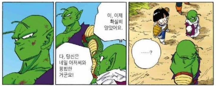 드래곤볼 피콜로가 피콜로가 아니라는 썰 | 인스티즈