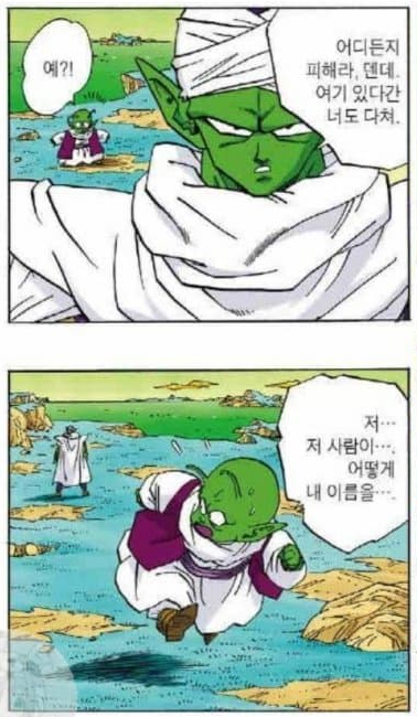 드래곤볼 피콜로가 피콜로가 아니라는 썰 | 인스티즈