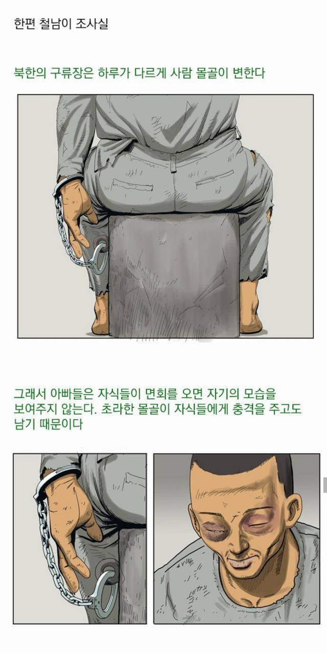 모 탈북자 방송인의 북한 선전매체 출연과 관련해 생각나는 웹툰 | 인스티즈