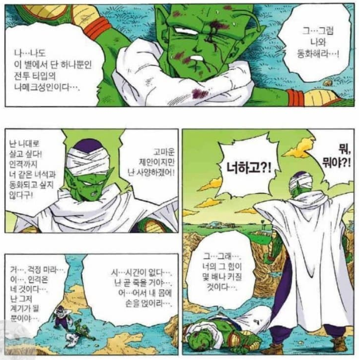 드래곤볼 피콜로가 피콜로가 아니라는 썰 | 인스티즈