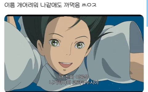 센과치히로의행방불명 하쿠가 본인의 이름을 까먹은 이유..JPG | 인스티즈