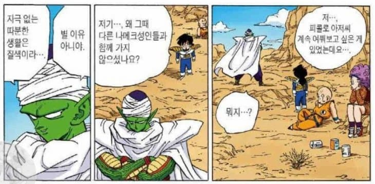드래곤볼 피콜로가 피콜로가 아니라는 썰 | 인스티즈
