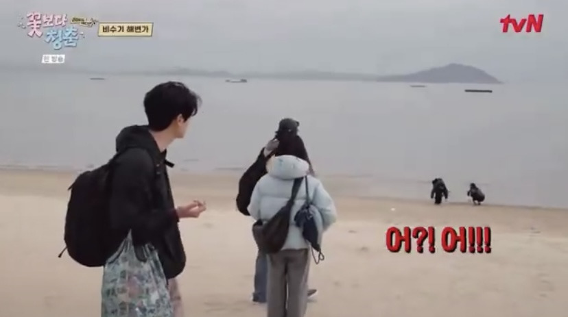 [꽃보다청춘] 박서준이 핸드폰 주워줘서 소녀들이 마이쮸 사줌.twt | 인스티즈
