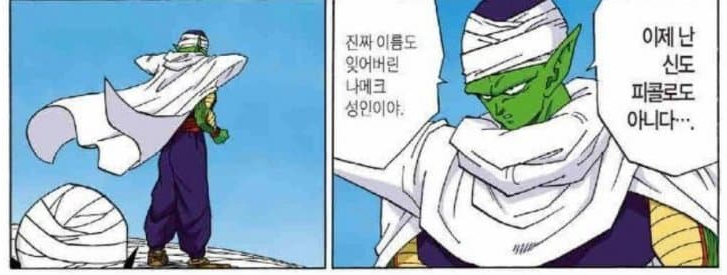 드래곤볼 피콜로가 피콜로가 아니라는 썰 | 인스티즈