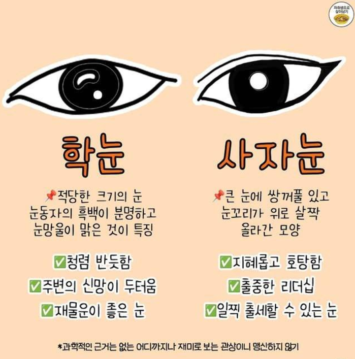 재미로 보는 눈 관상 | 인스티즈