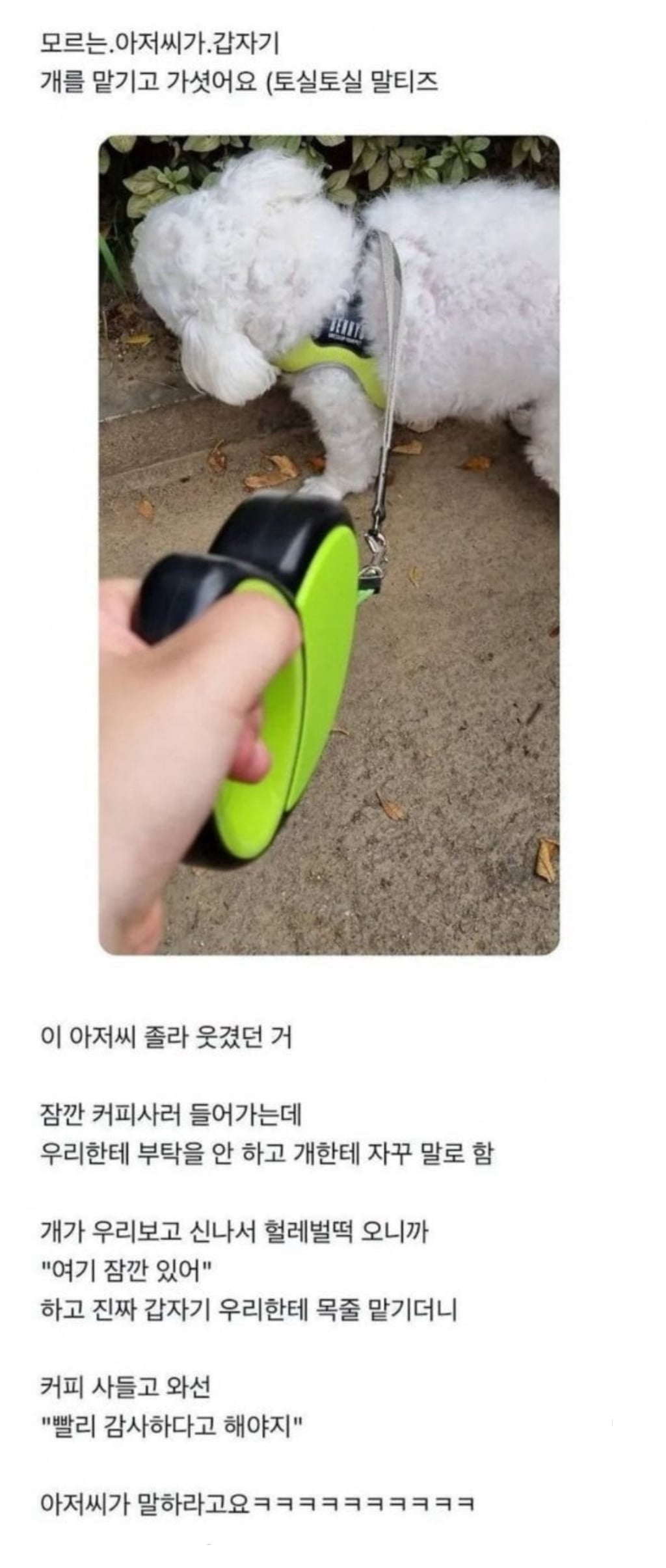 모르는 아저씨가 토실토실한 말티즈를 맡기고 감 | 인스티즈