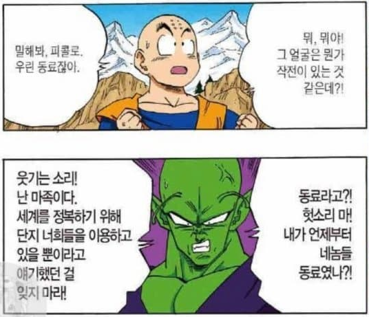 드래곤볼 피콜로가 피콜로가 아니라는 썰 | 인스티즈