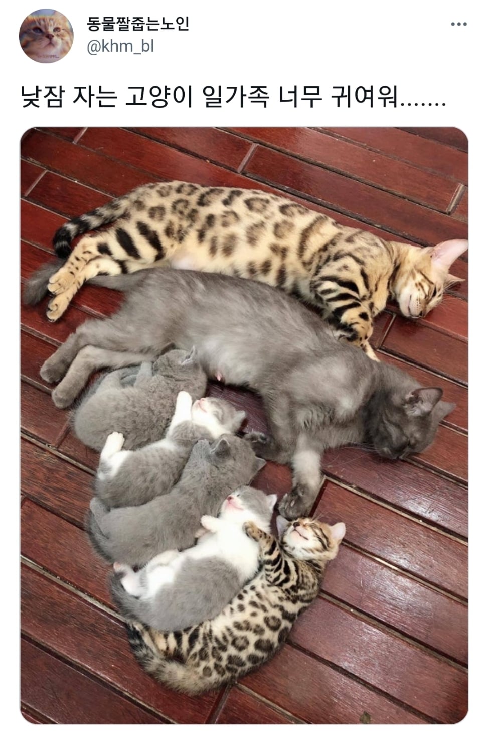 오늘 낮에 진짜 예쁜 모습 봤어 | 인스티즈