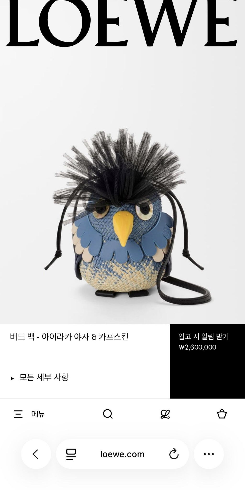 디자이너가 식집사 인가 생각드는 로에베 백 | 인스티즈