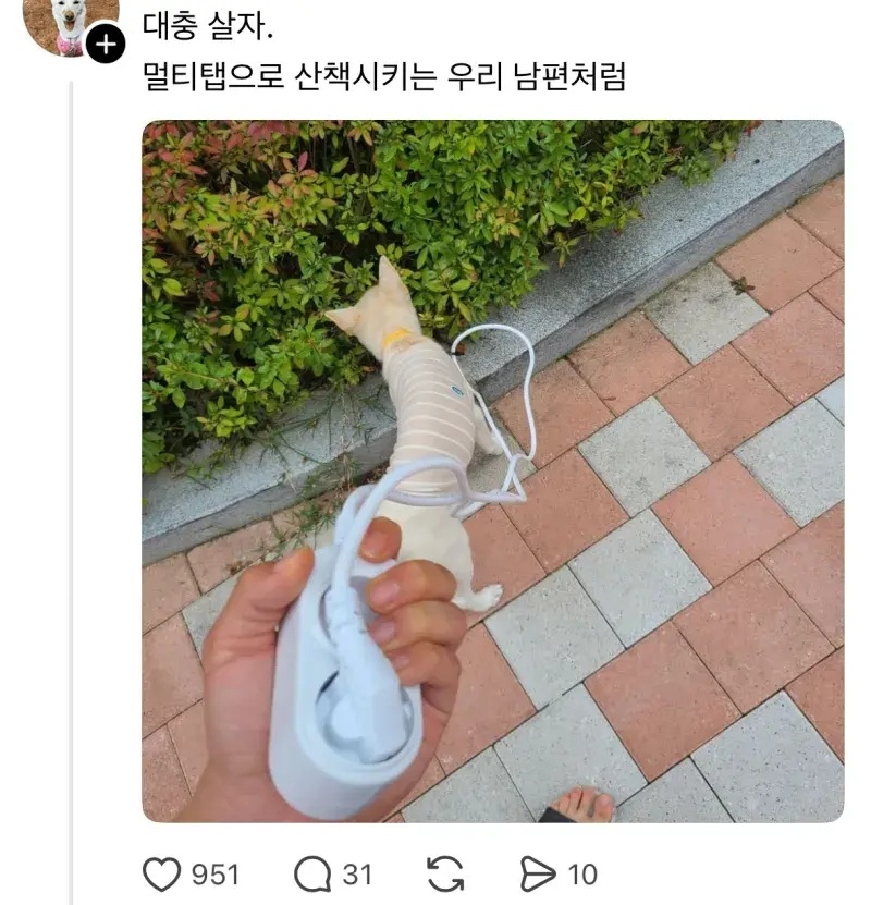 대충 살자 | 인스티즈