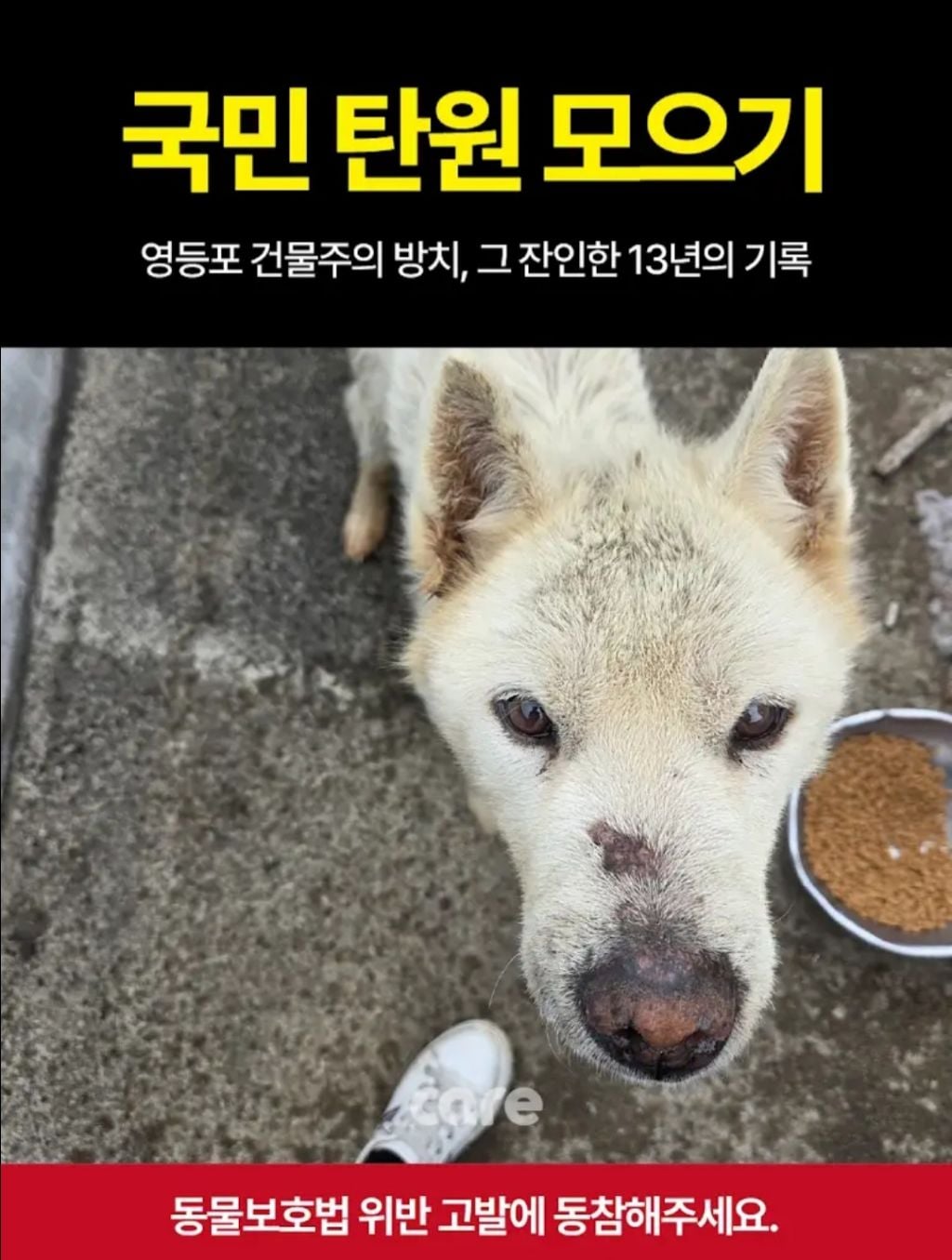주유소 옥상 방치 13년, 할아버지가 돼 버린 백구 만복이를 위해 탄원 동참 부탁해!!! (화력 필요‼️) | 인스티즈