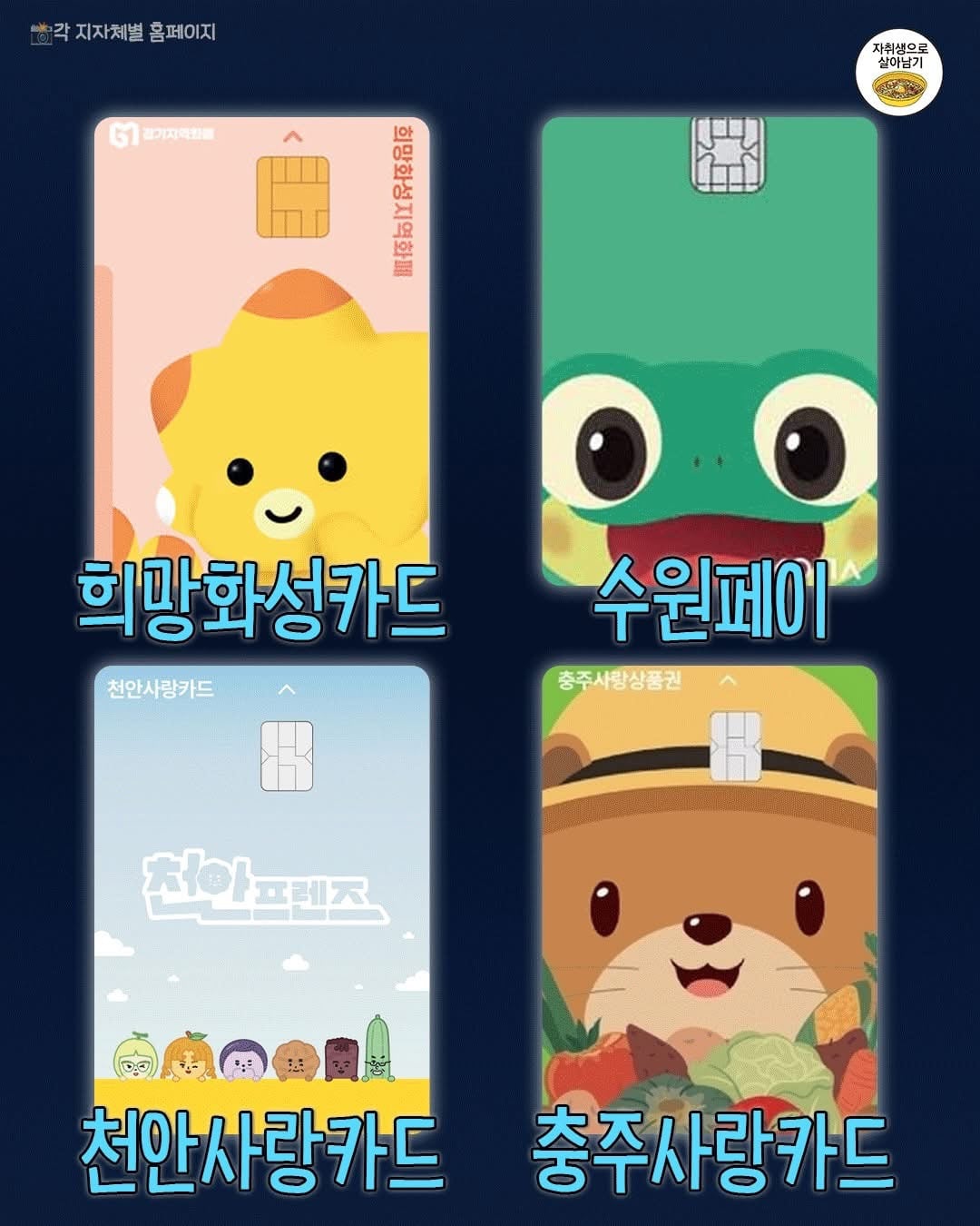 지역별 지역 화폐 카드 모음 | 인스티즈