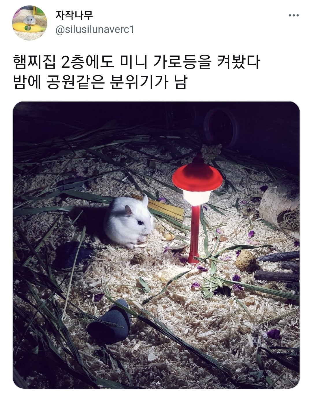 오늘 낮에 진짜 예쁜 모습 봤어 | 인스티즈