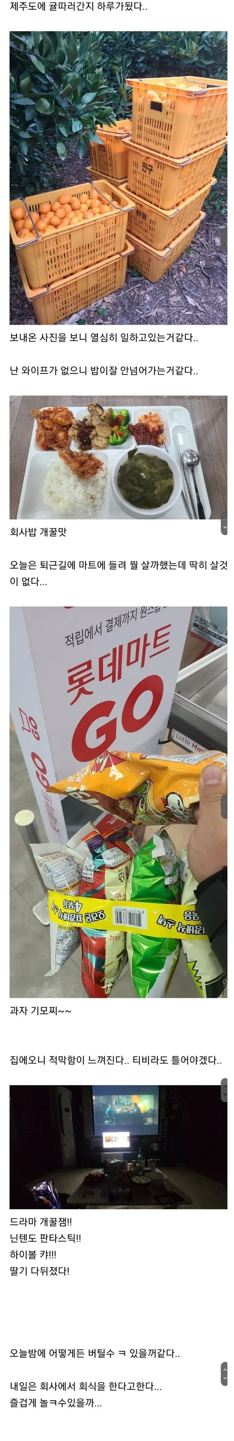 와이프가 귤따러 제주도 간지 하루가 지났다 | 인스티즈