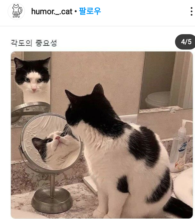각도의 중요성 | 인스티즈