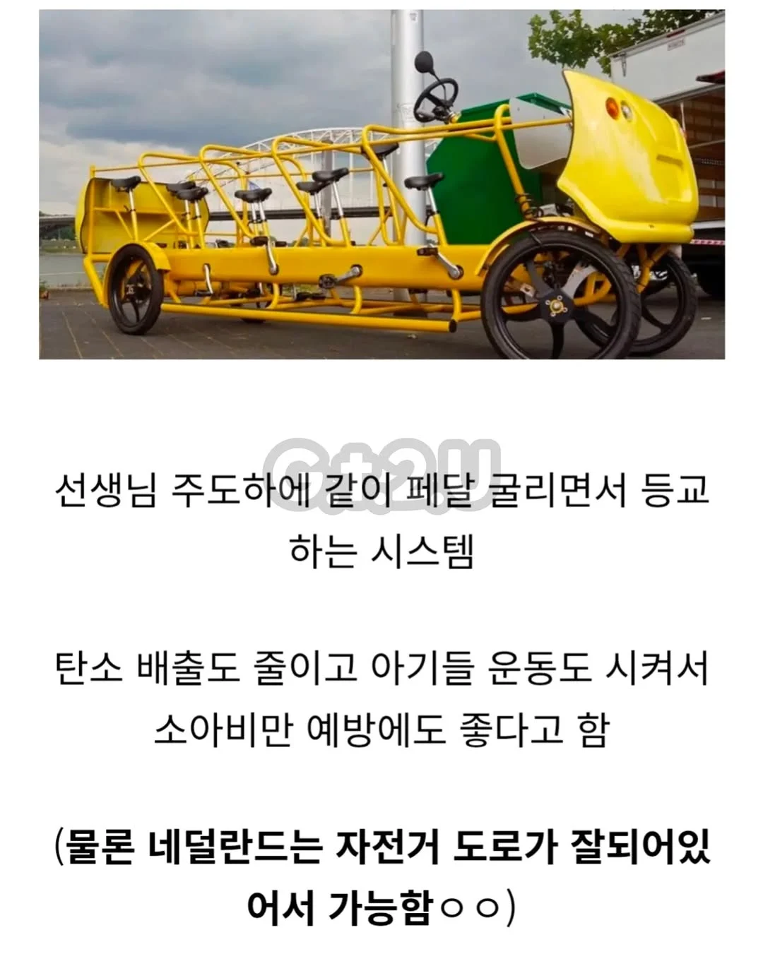 네덜란드의 유치원 등하원 방법 | 인스티즈