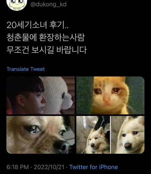 이제 대만 청춘물 안찾아봐도 된다는,,아는 맛인데 개맛이라는 넷플릭스 시리즈 20세기 소녀 | 인스티즈