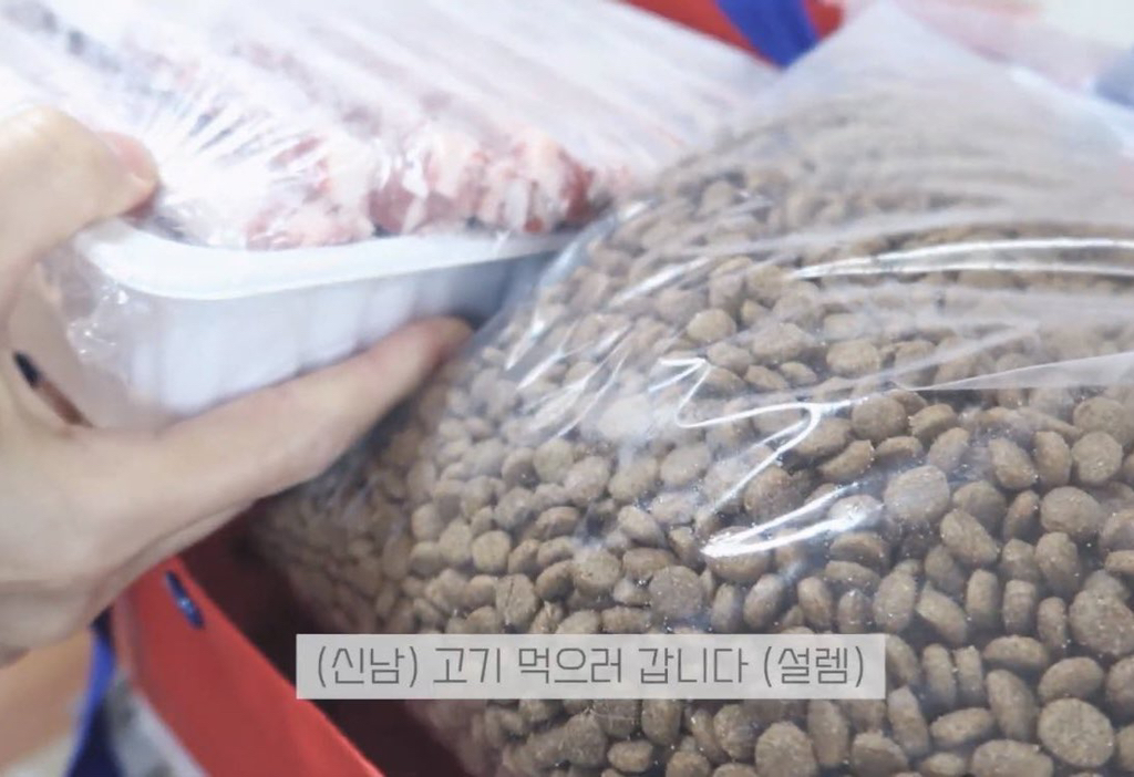 꾸준히 길고양이 돌보는 아이돌 | 인스티즈