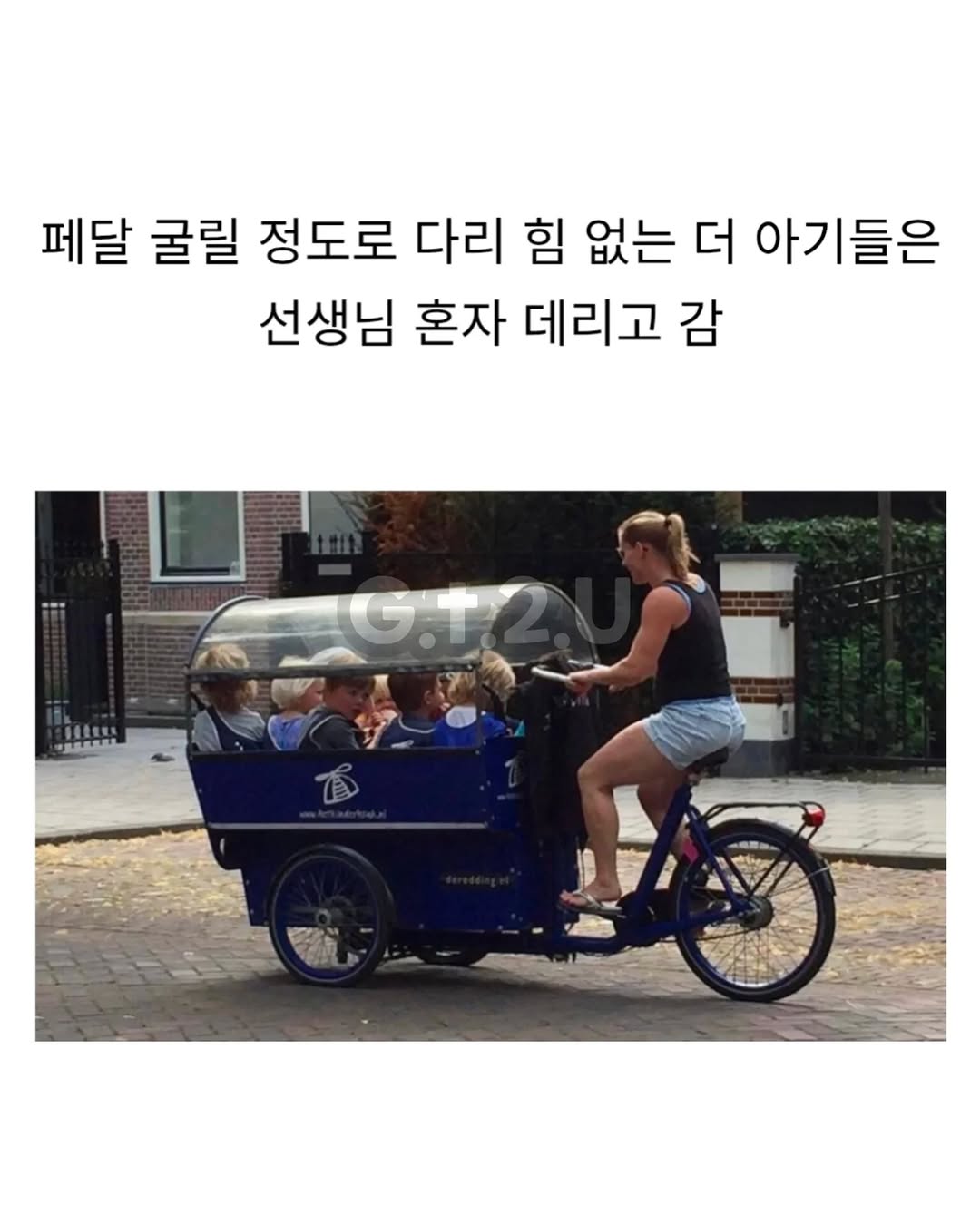 네덜란드의 유치원 등하원 방법 | 인스티즈