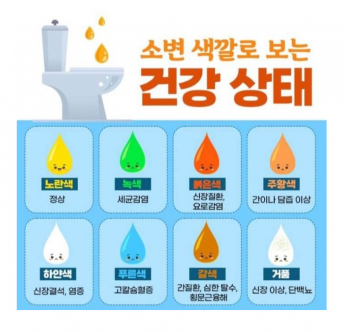 소변 색깔로 보는 건강상태 | 인스티즈