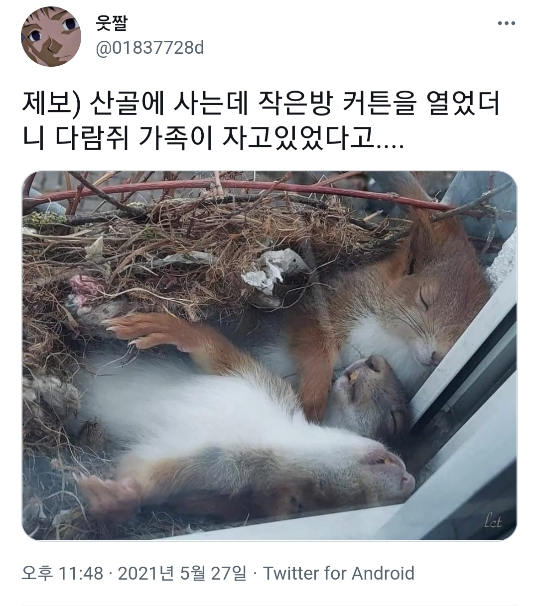 오늘 낮에 진짜 예쁜 모습 봤어 | 인스티즈