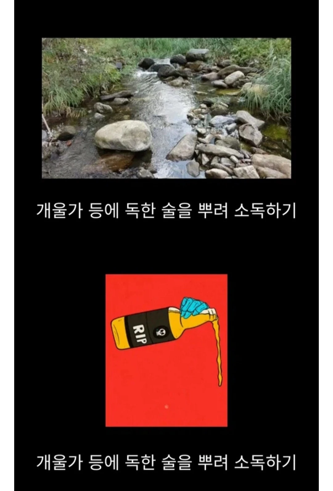 흑사병을 날려버린 전설적 의사 | 인스티즈