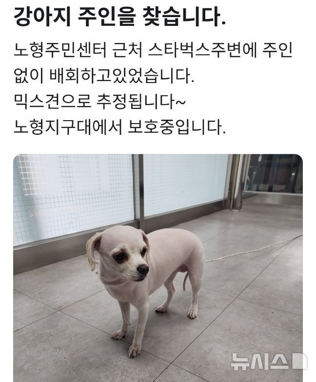 동물병원 탈출 애완견…경찰·배달기사 기지에 주인 품으로 | 인스티즈