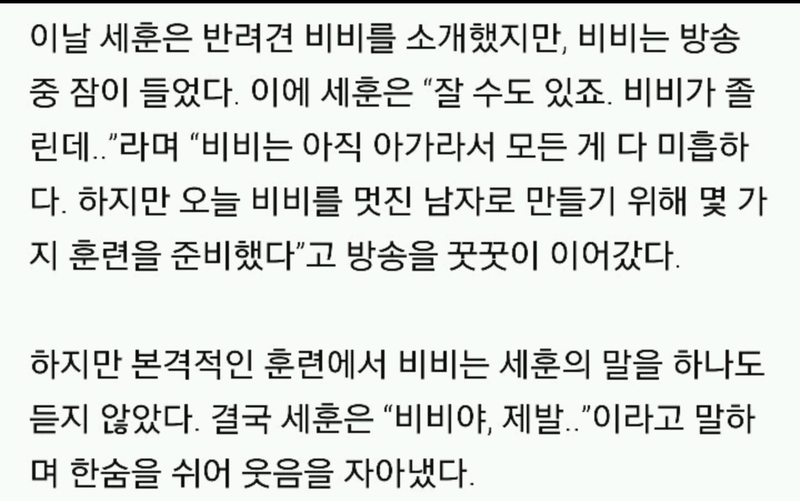 무기력한 짤견으로 유명한 엑소 세훈 강아지 | 인스티즈