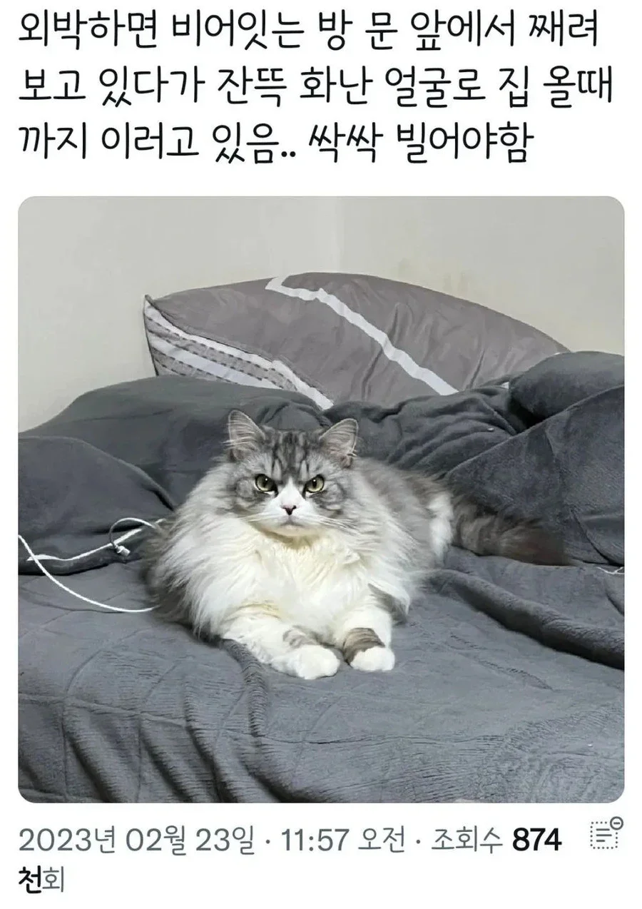 외박하면 바가지 긁는 타입 | 인스티즈