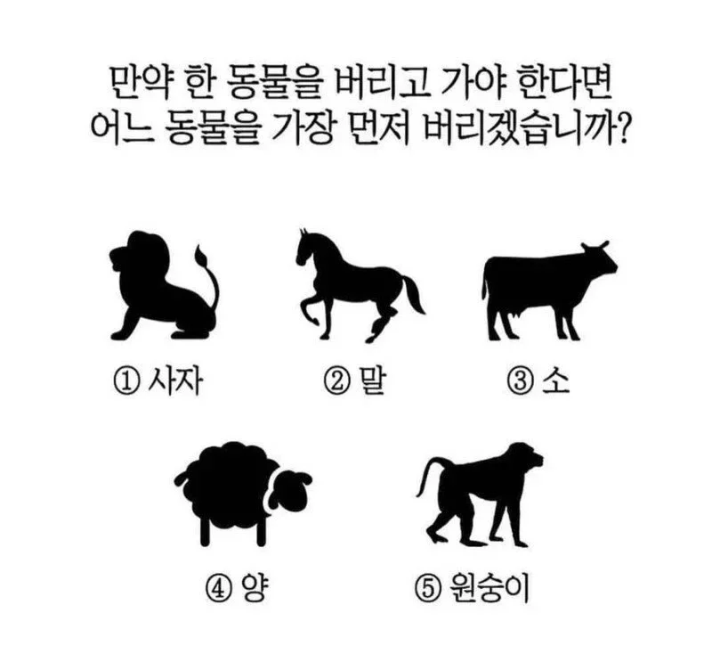 만약 한 동물을 버리고 가야 한다면? | 인스티즈