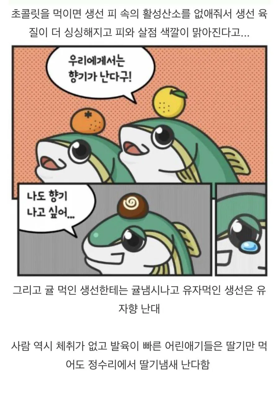 어떤 생선이 출하전에 먹는 음식.jpg | 인스티즈