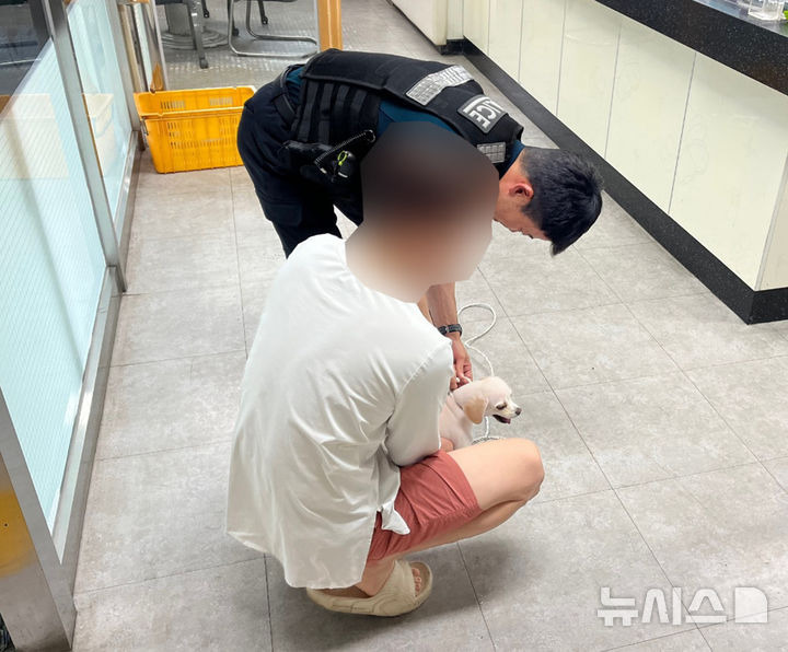 동물병원 탈출 애완견…경찰·배달기사 기지에 주인 품으로 | 인스티즈