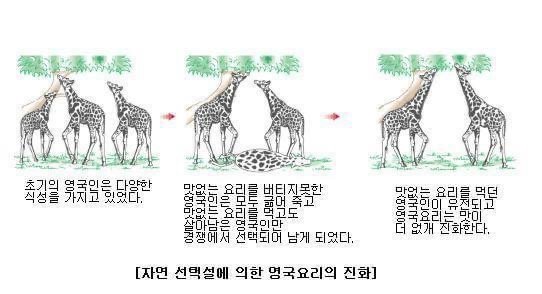 영국 요리가 맛없는 이유 추론 | 인스티즈
