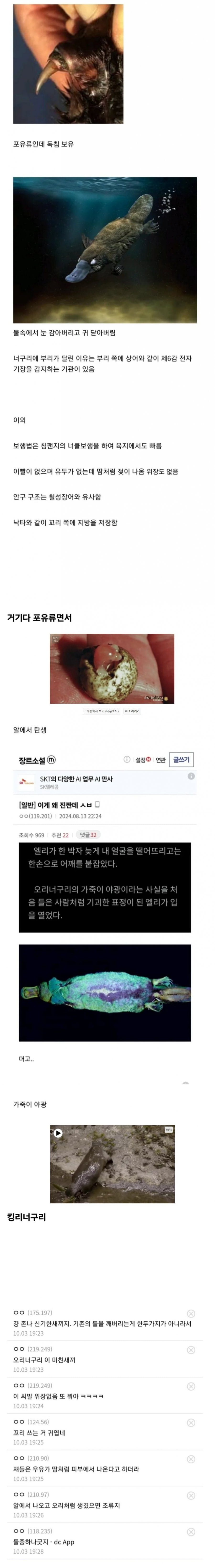 정말 신비한 동물 | 인스티즈