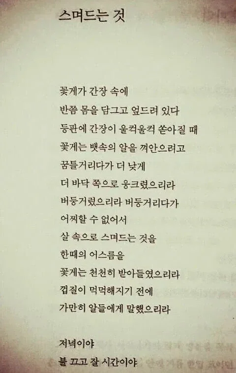 시인이 간장게장에 관한 시를 쓴 이유 | 인스티즈