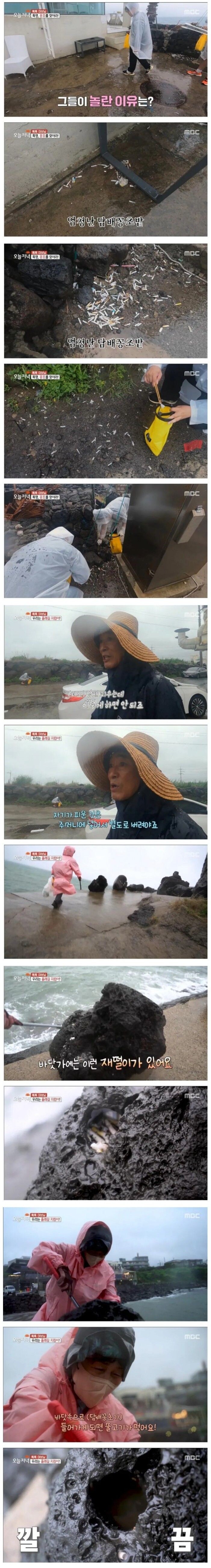 제주도에만 있다는 천연 재떨이 | 인스티즈