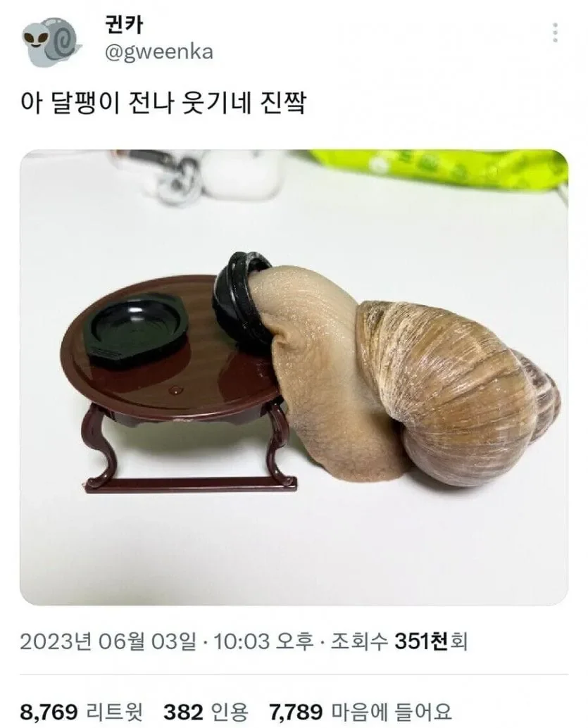 달팽이도 아는 한국의 소울푸드 | 인스티즈