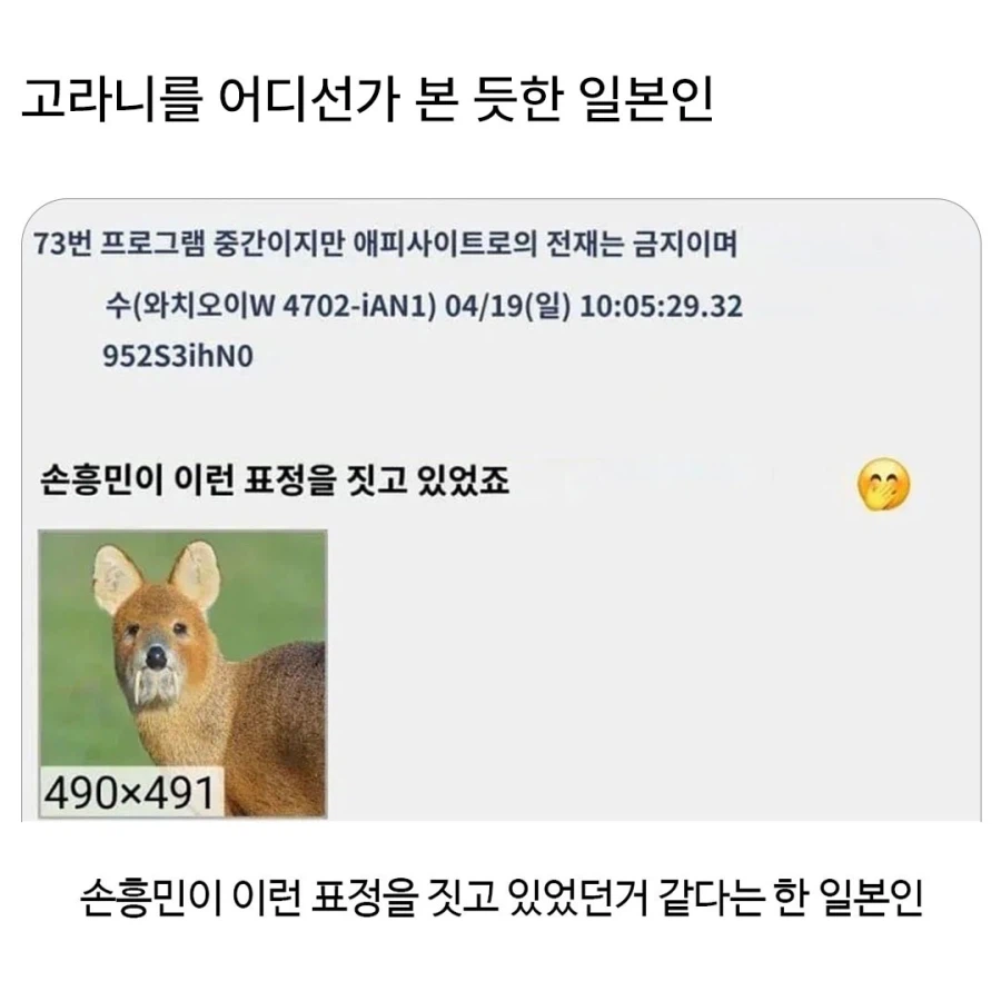 고라니를 어디선가 본 듯한 일본인 | 인스티즈
